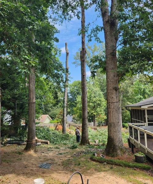 The back yard of a house with trees in the background