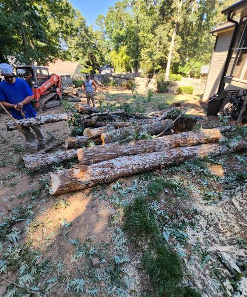 A man with a chainsaw cutting a log