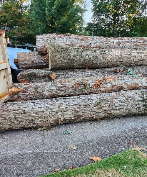 A pile of logs sitting on the side of a road