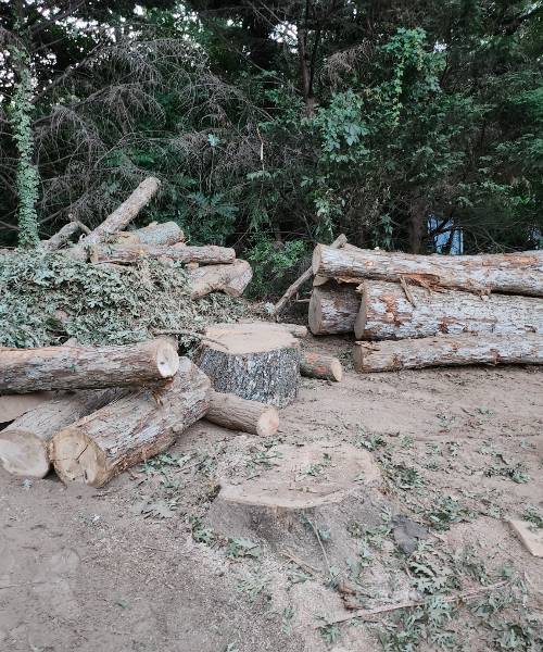 A pile of logs sitting on top of a dirt field