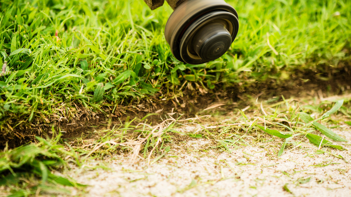 A close up of a sprinkler in the grass