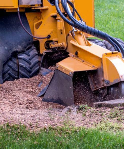 A yellow machine is digging a hole in the ground